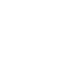 logo-light